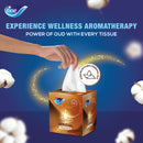 Fine Cubic Facial Tissues Spiritual-Silver Oud 100 sheets x 2 Ply, Pack of 1