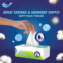 Fine Fluffy Facial Tissues  200sheets x 2 Ply, Pack of 10