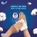 Fine Classic Pocket Tissue 10 sheets x 3 Ply, Pack of 10