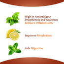 Iced Tea Nai Lemon 473 ml Glass Bottle