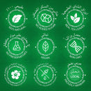 Iced Tea Nai Ginger 250 - Can