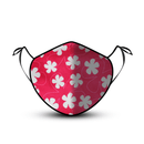 هيبي شيك كومفورت